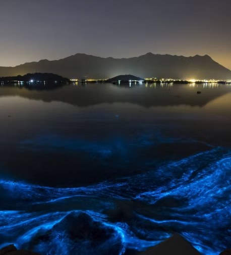 Bioluminiscencia en el agua de noche