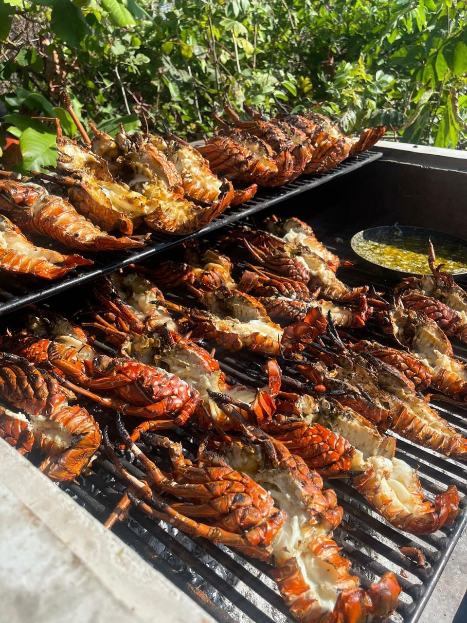 Galería de Casa Malandra, Puerto Escondido, Oaxaca — foto 23