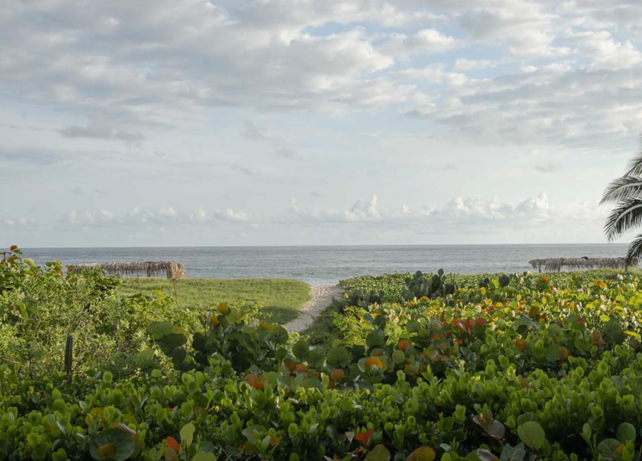 Galería de Casa Malandra, Puerto Escondido, Oaxaca — foto 2